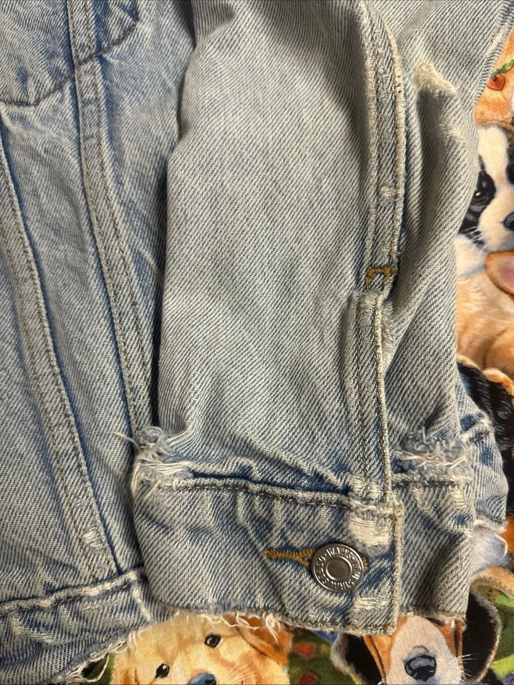 Levis authentic levi